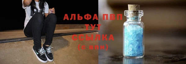 амф Пересвет