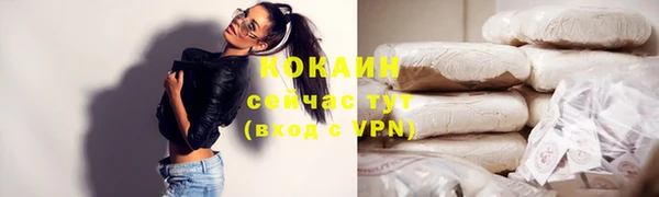 винт Пестово