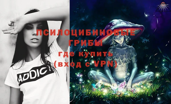сатива Переславль-Залесский