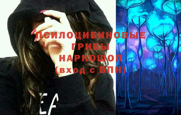 сатива Переславль-Залесский